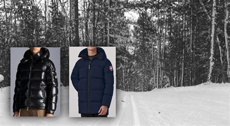 moncler vs canada goose quality